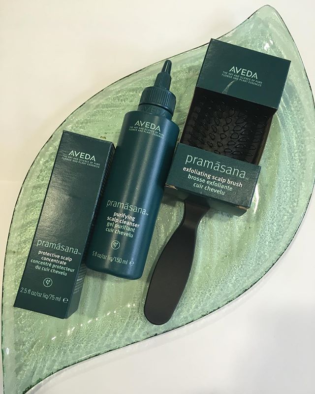 AVEDA PRAMASANA SCALP CLEANSING COLLECTION